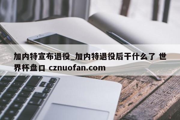 加内特宣布退役_加内特退役后干什么了 世界杯盘口 cznuofan.com